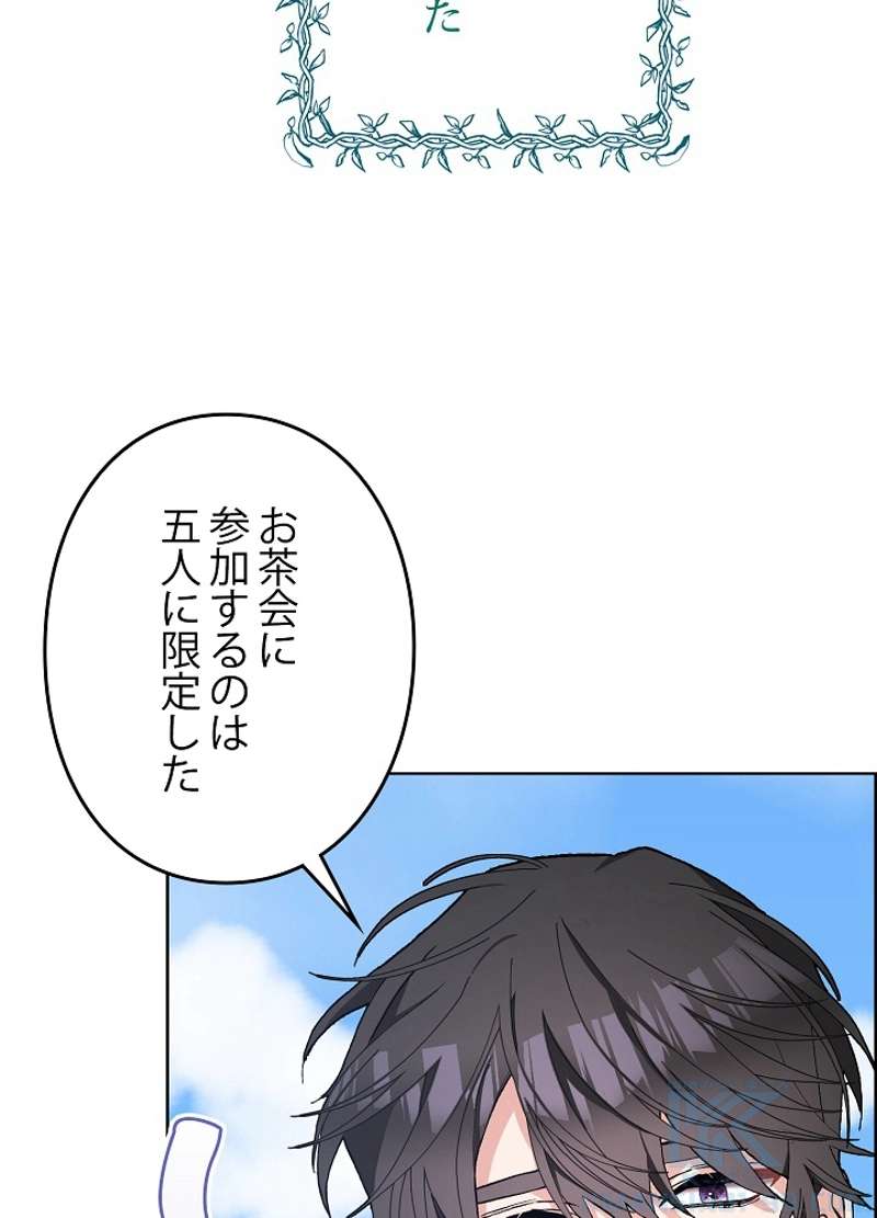 P61