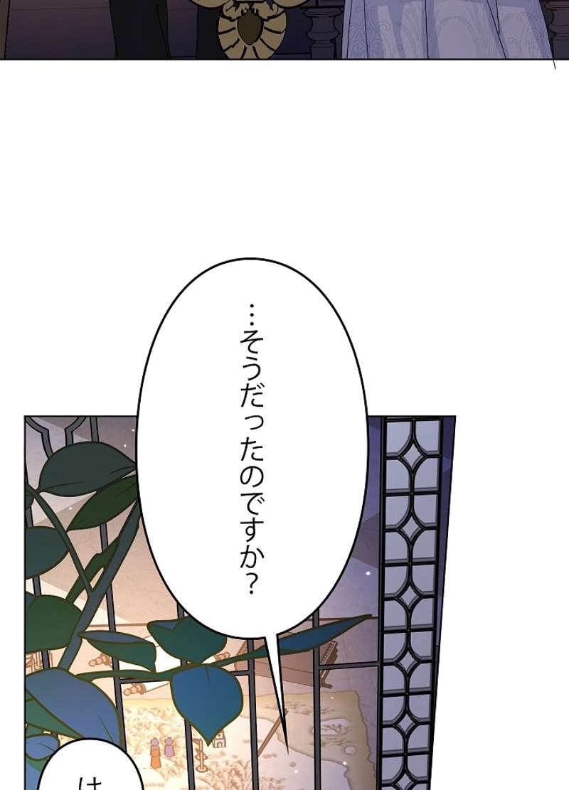 P53