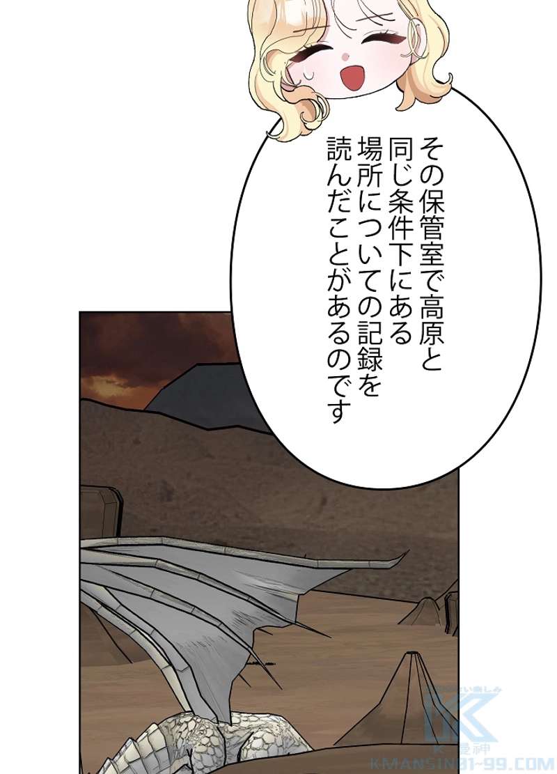 P61