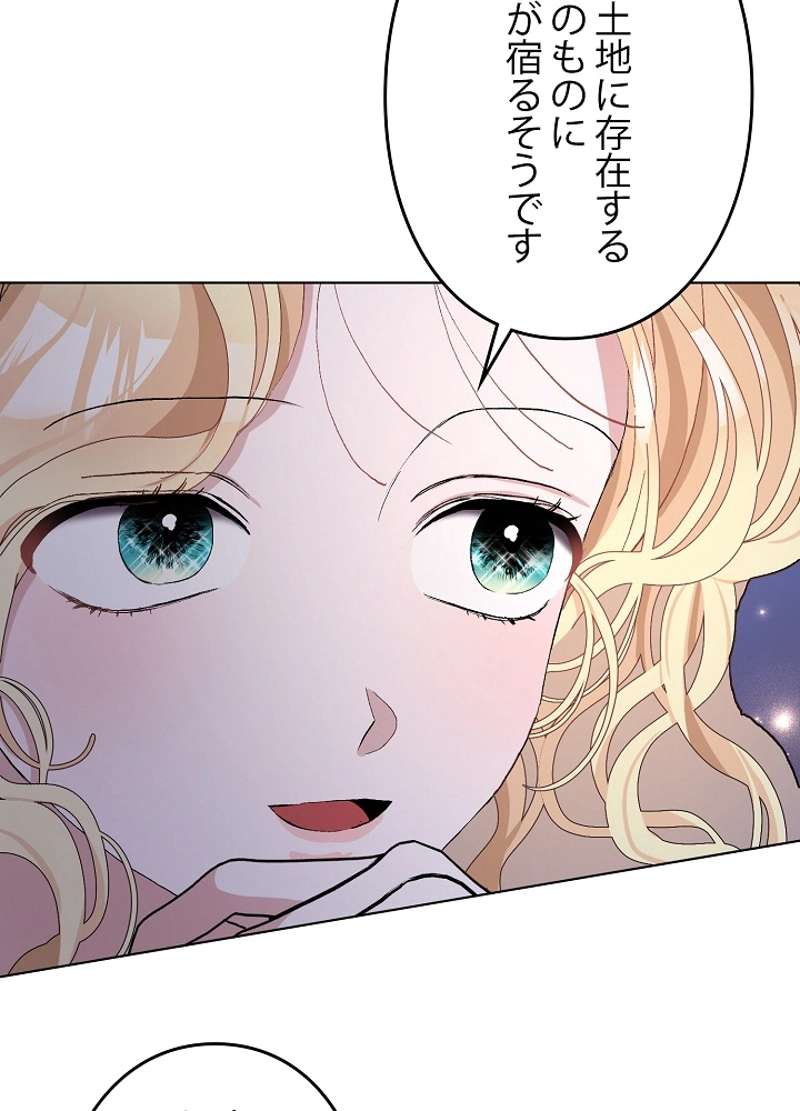 P63