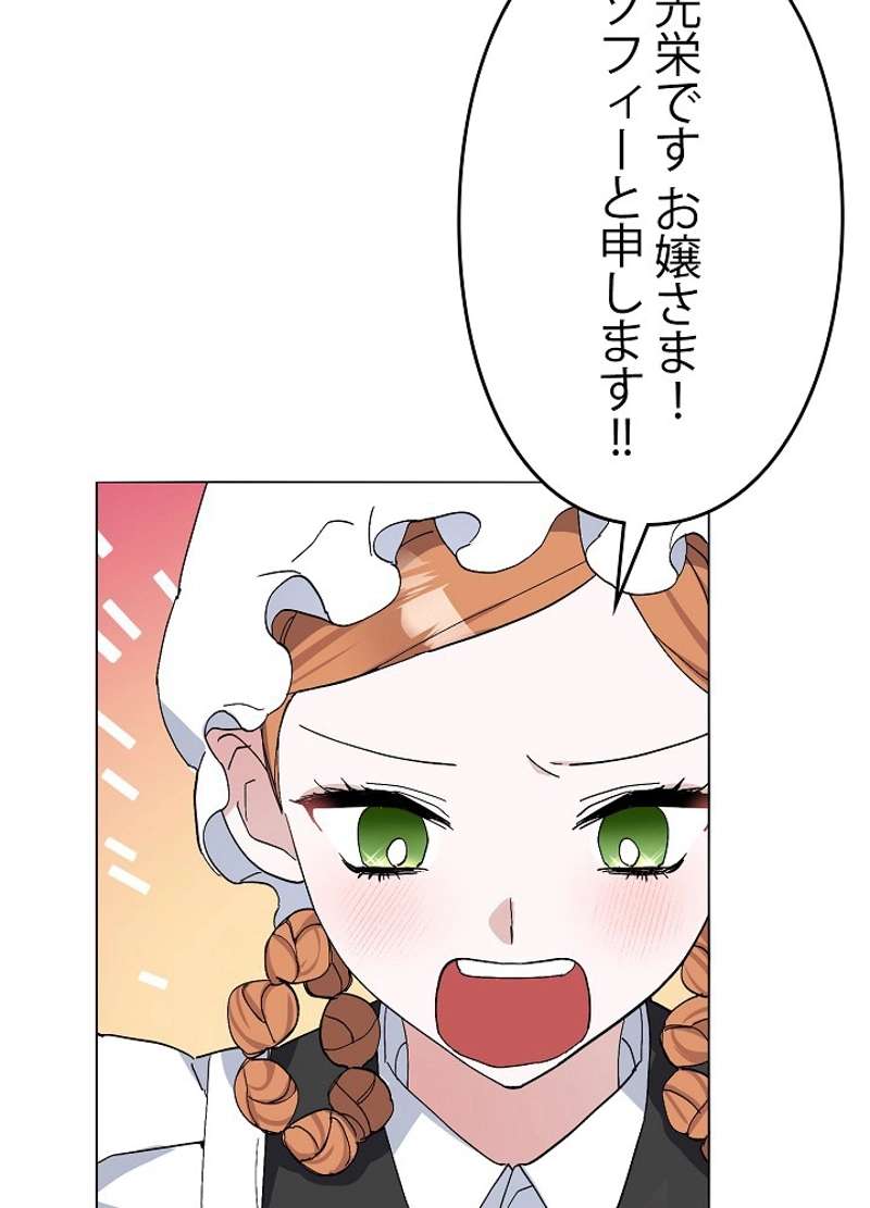 P66