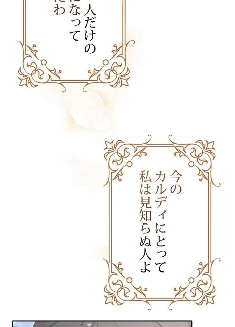 P61