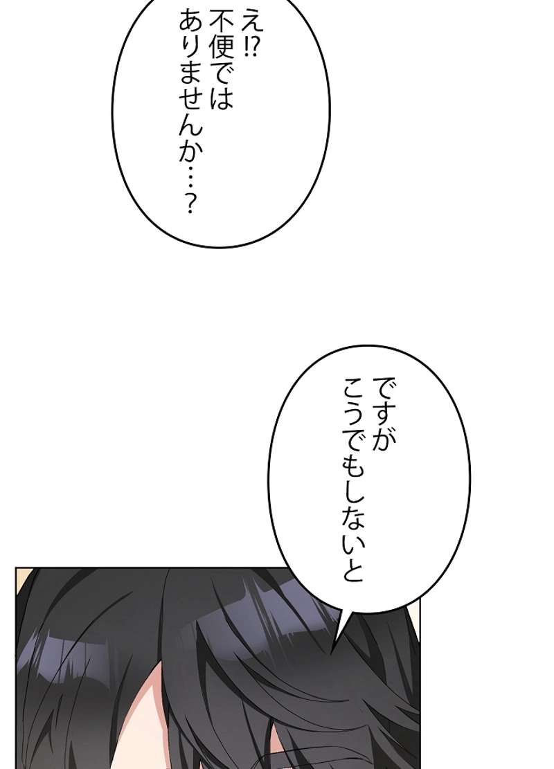 P63