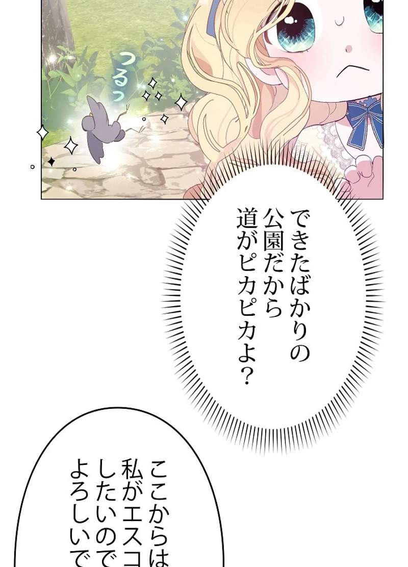 P58