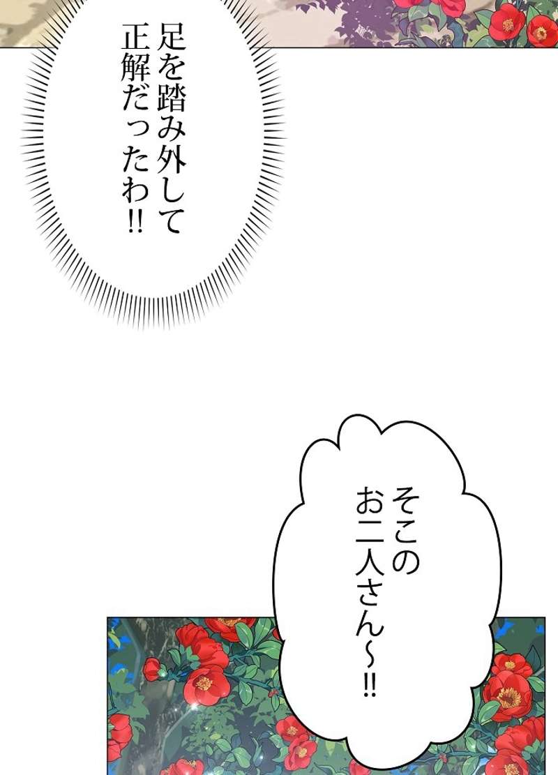 P63