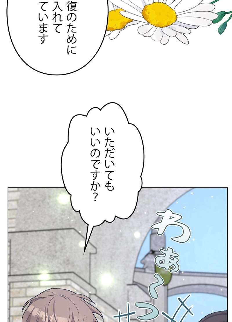 P83