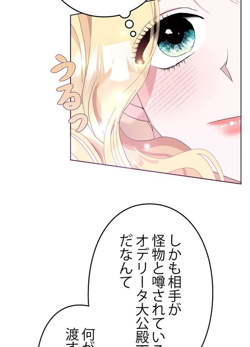 P58