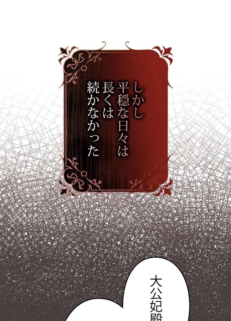 P61