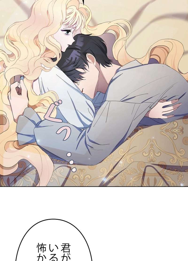 P61
