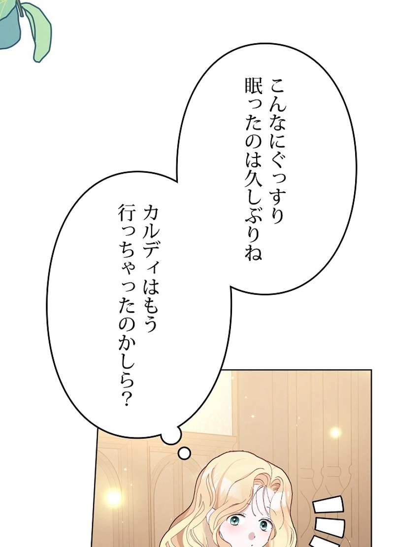 P81