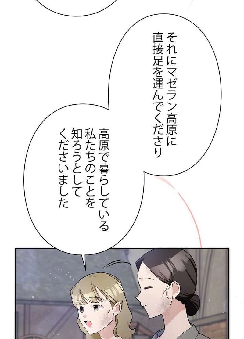 P66