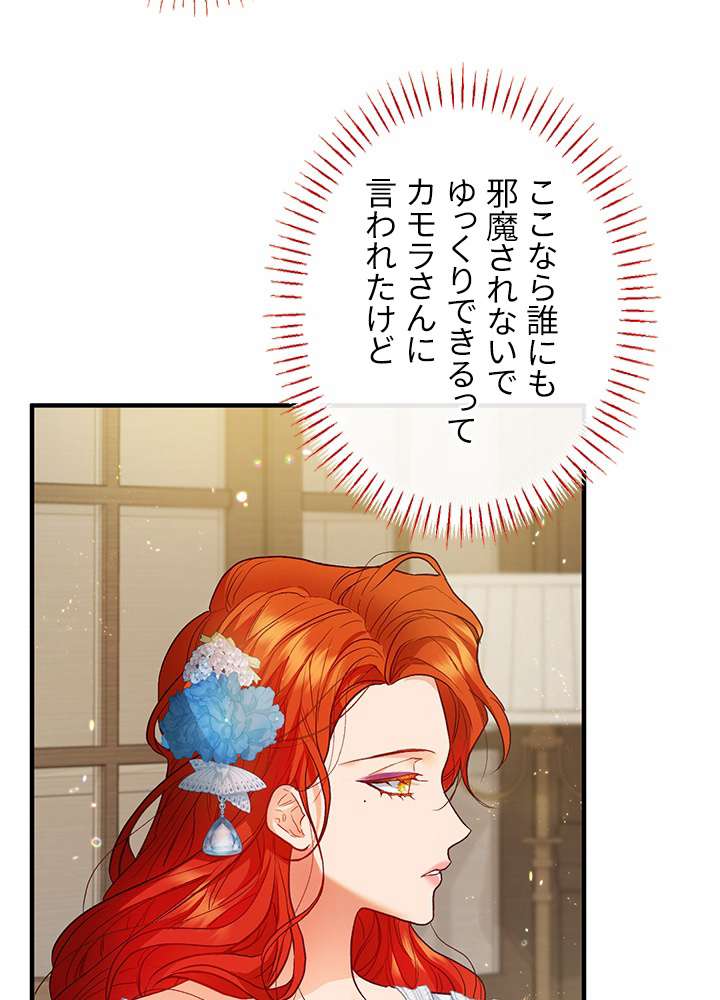 P81