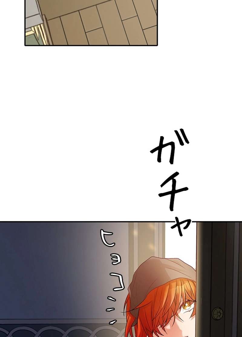 P53