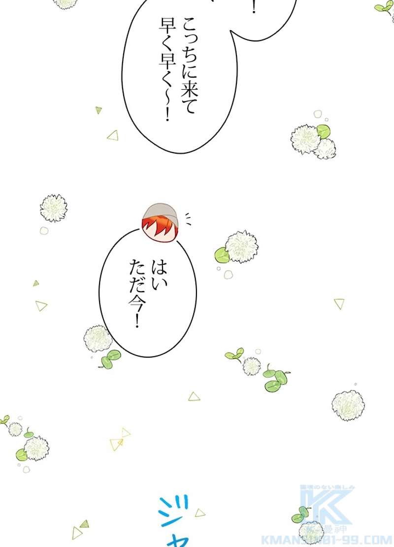 P64