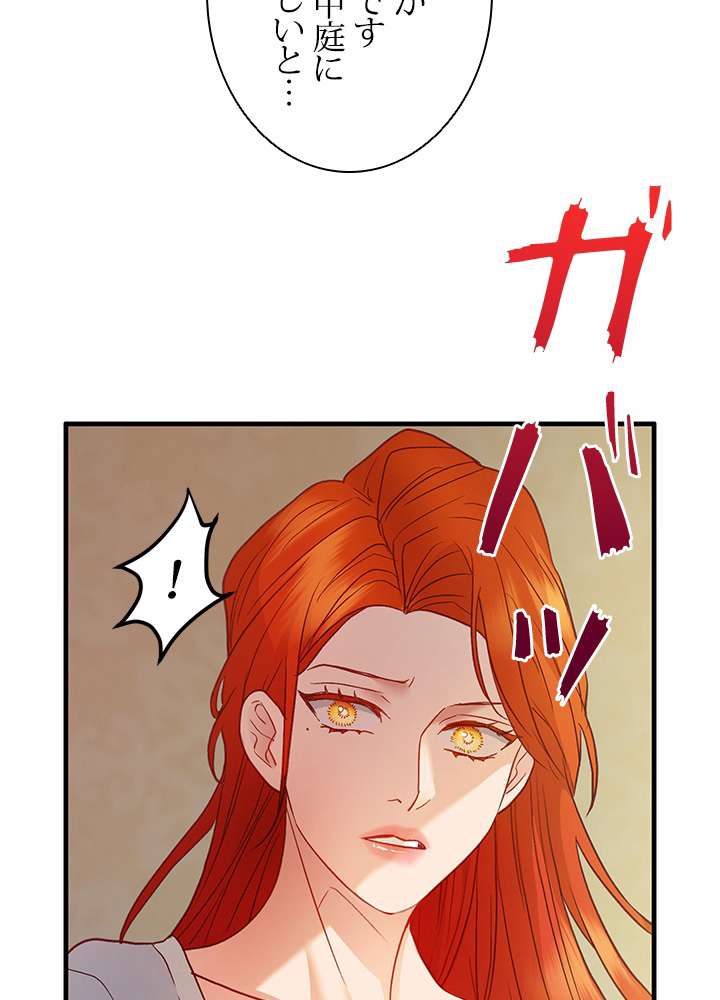 P66