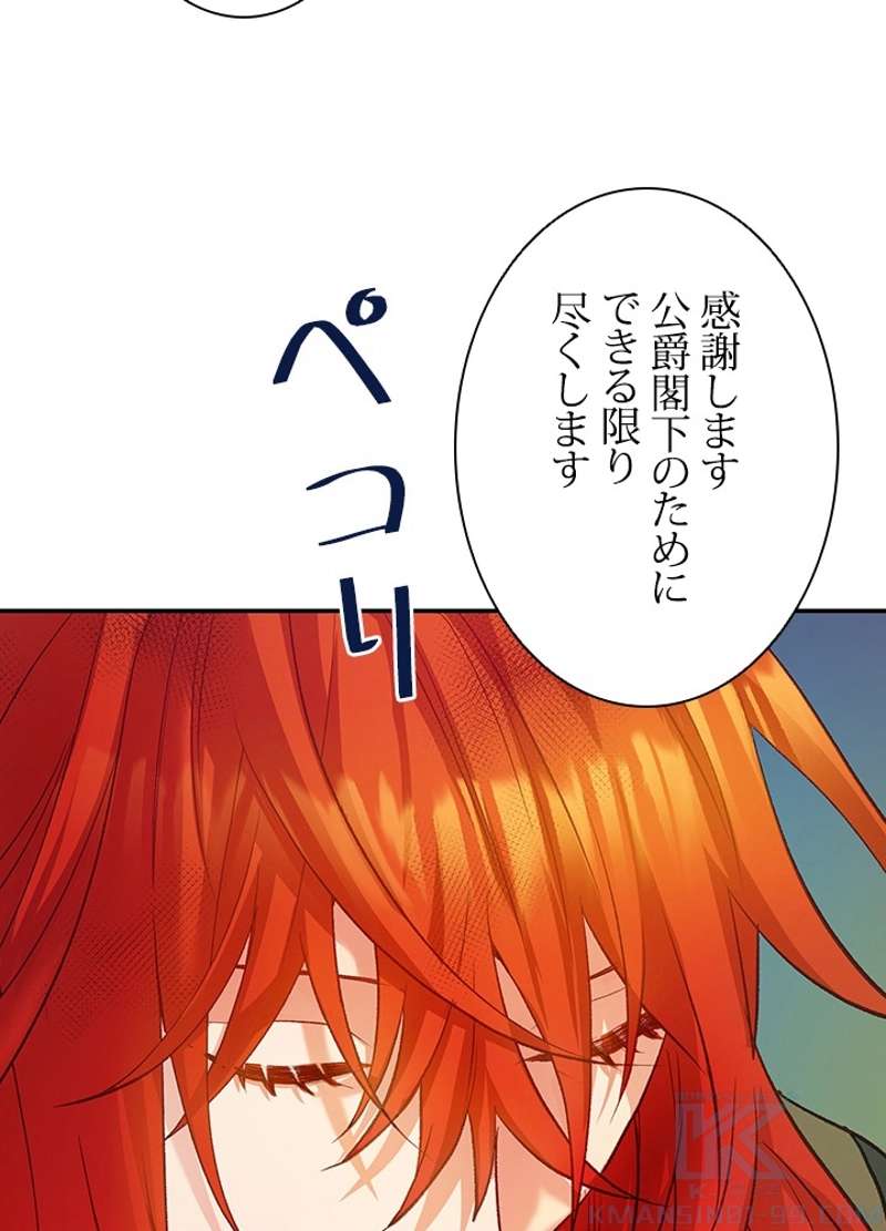 P61
