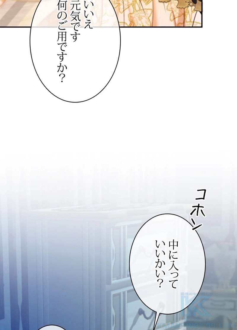 P64