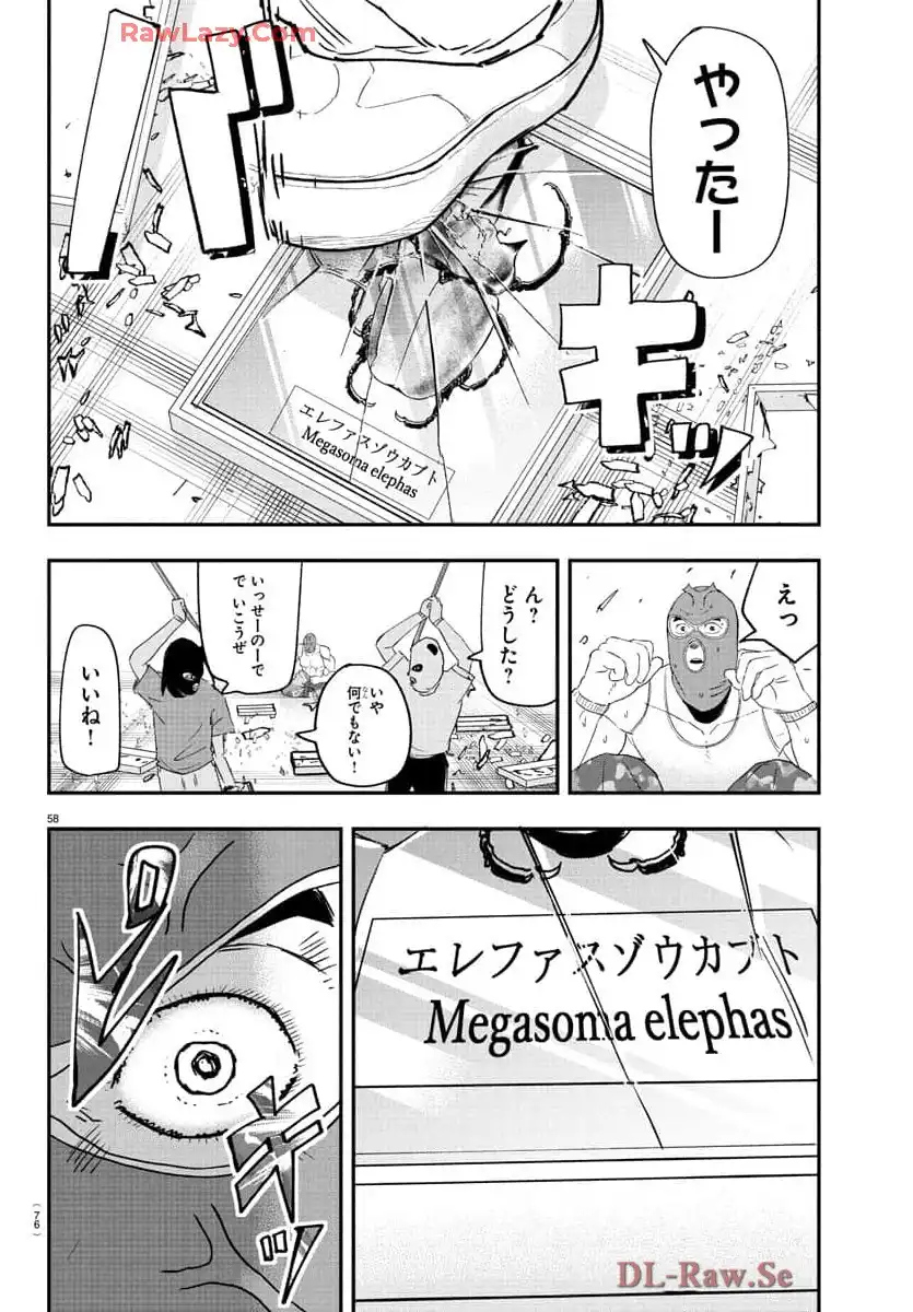P61