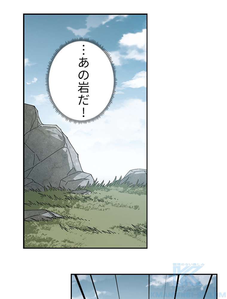 P58