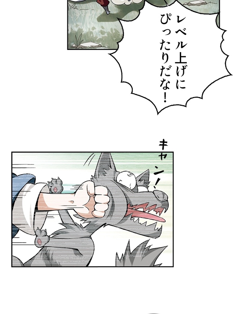 P42