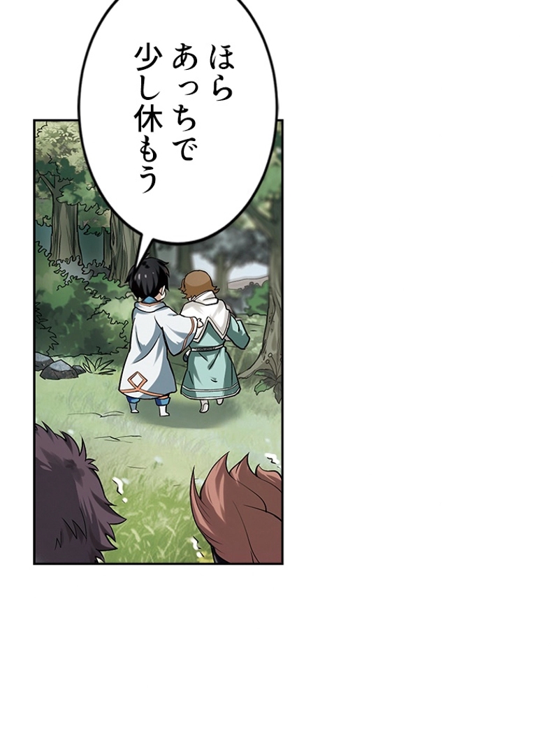 P66