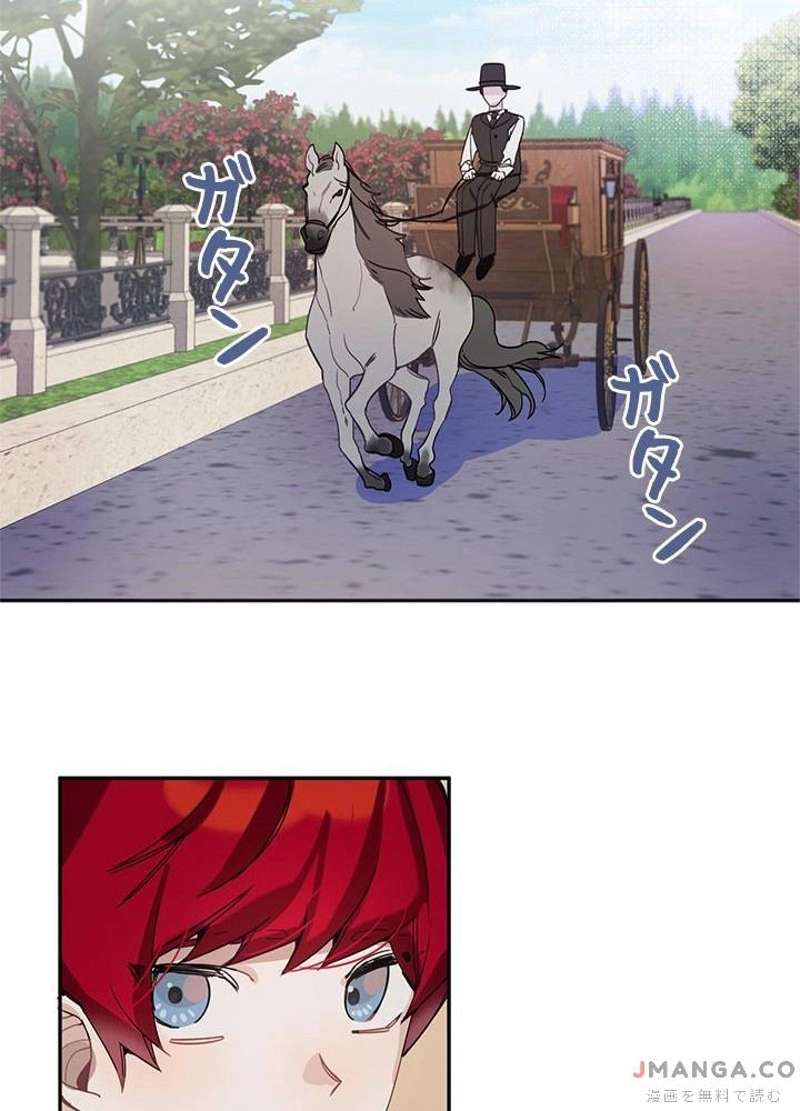 P53