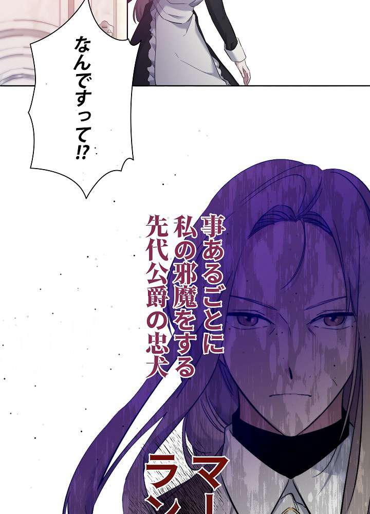 P66