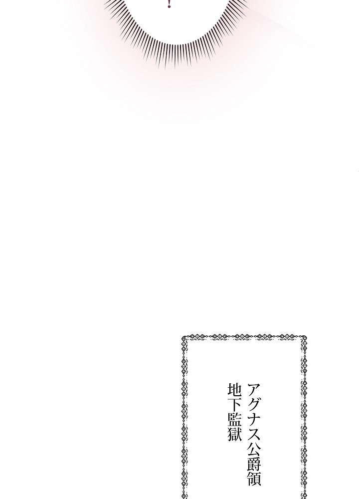P63