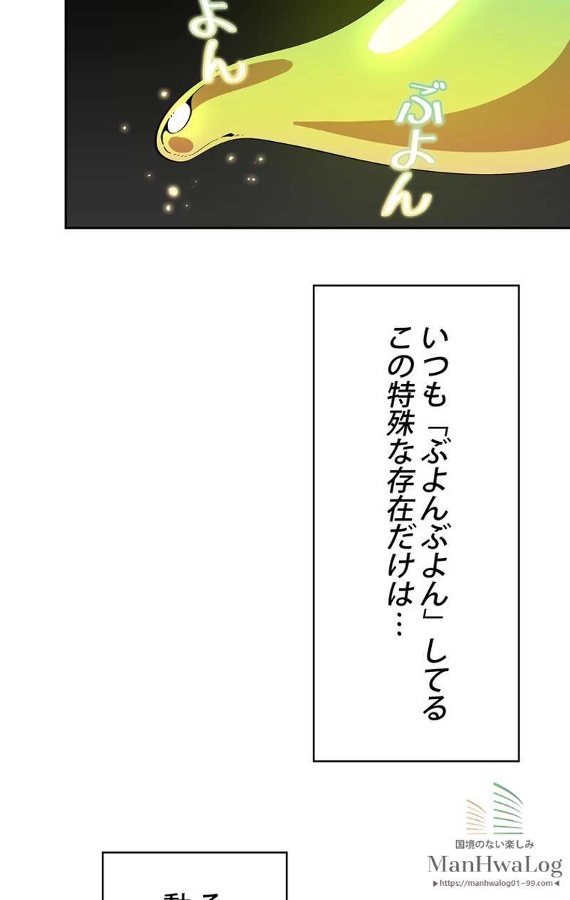P66