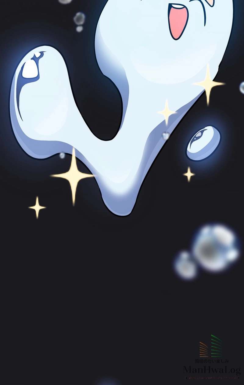 P53