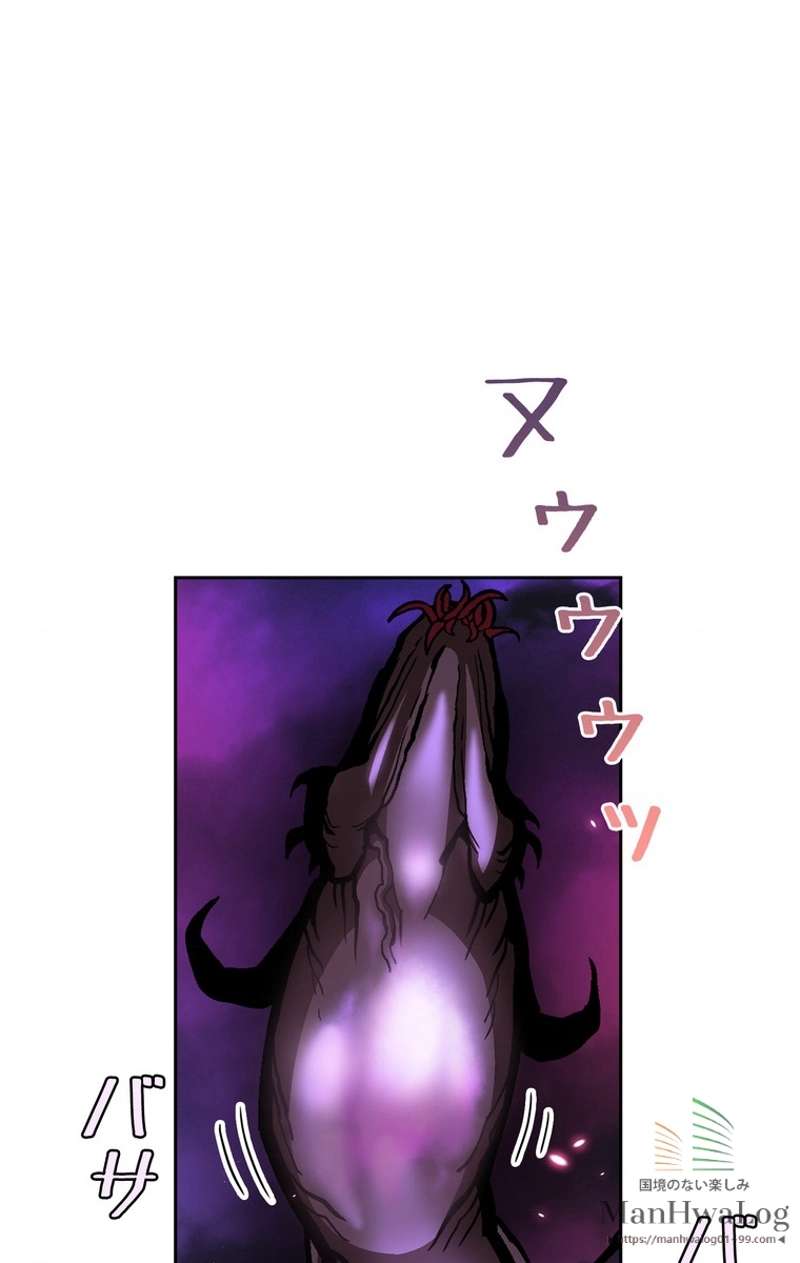 P58