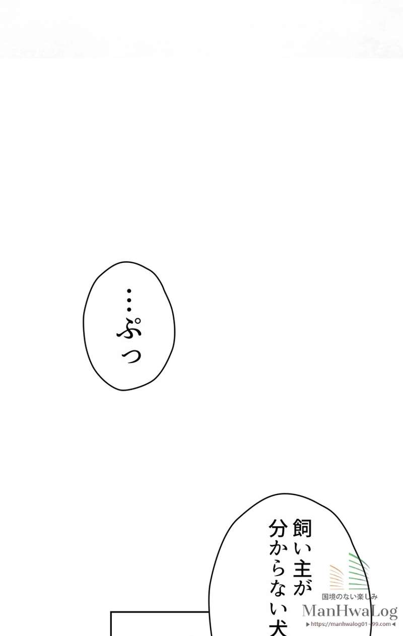P85