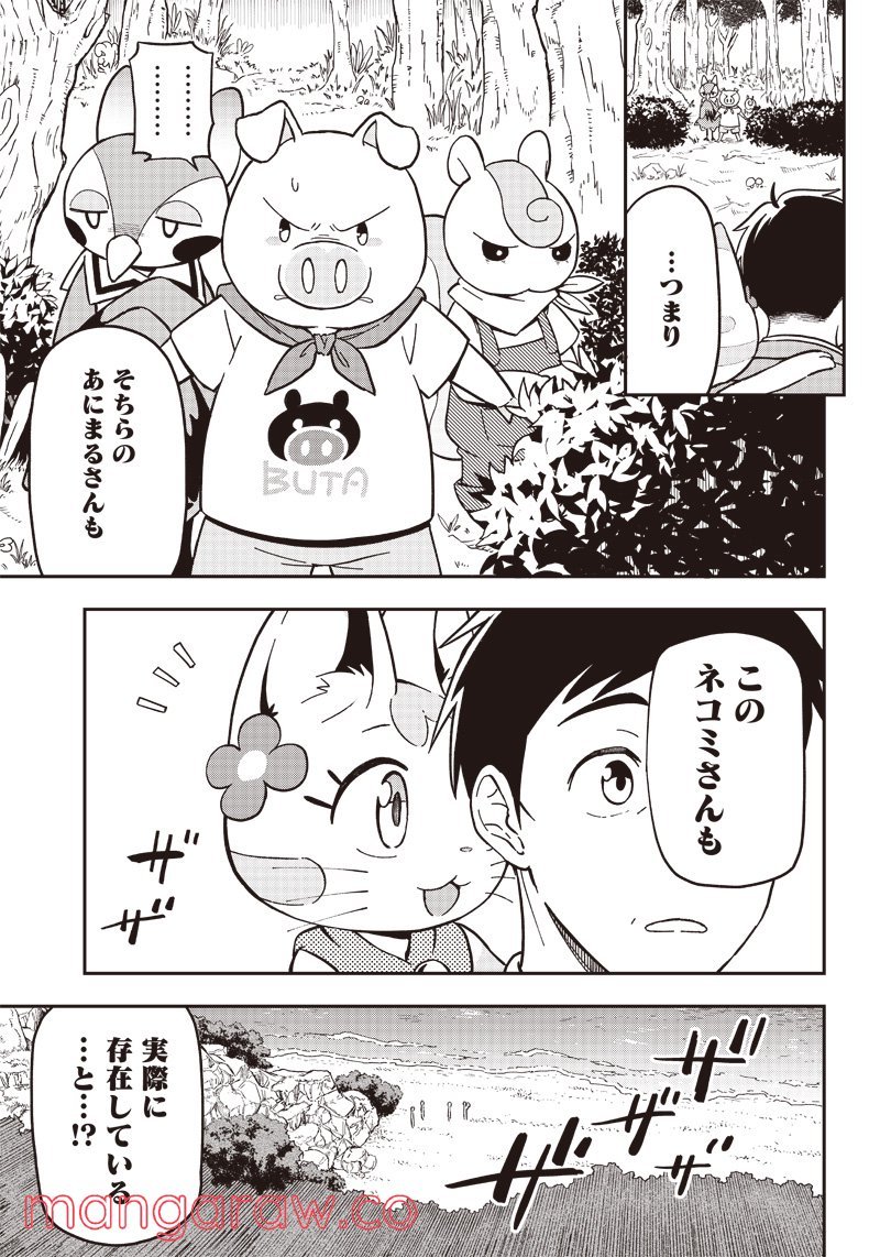 P61