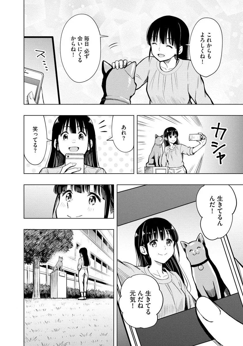P24