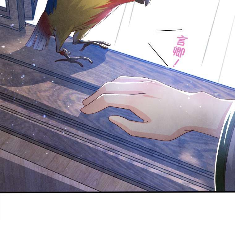P41