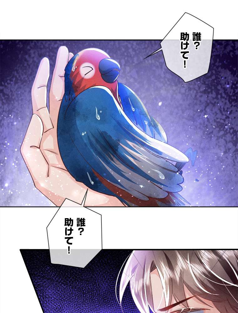 P42