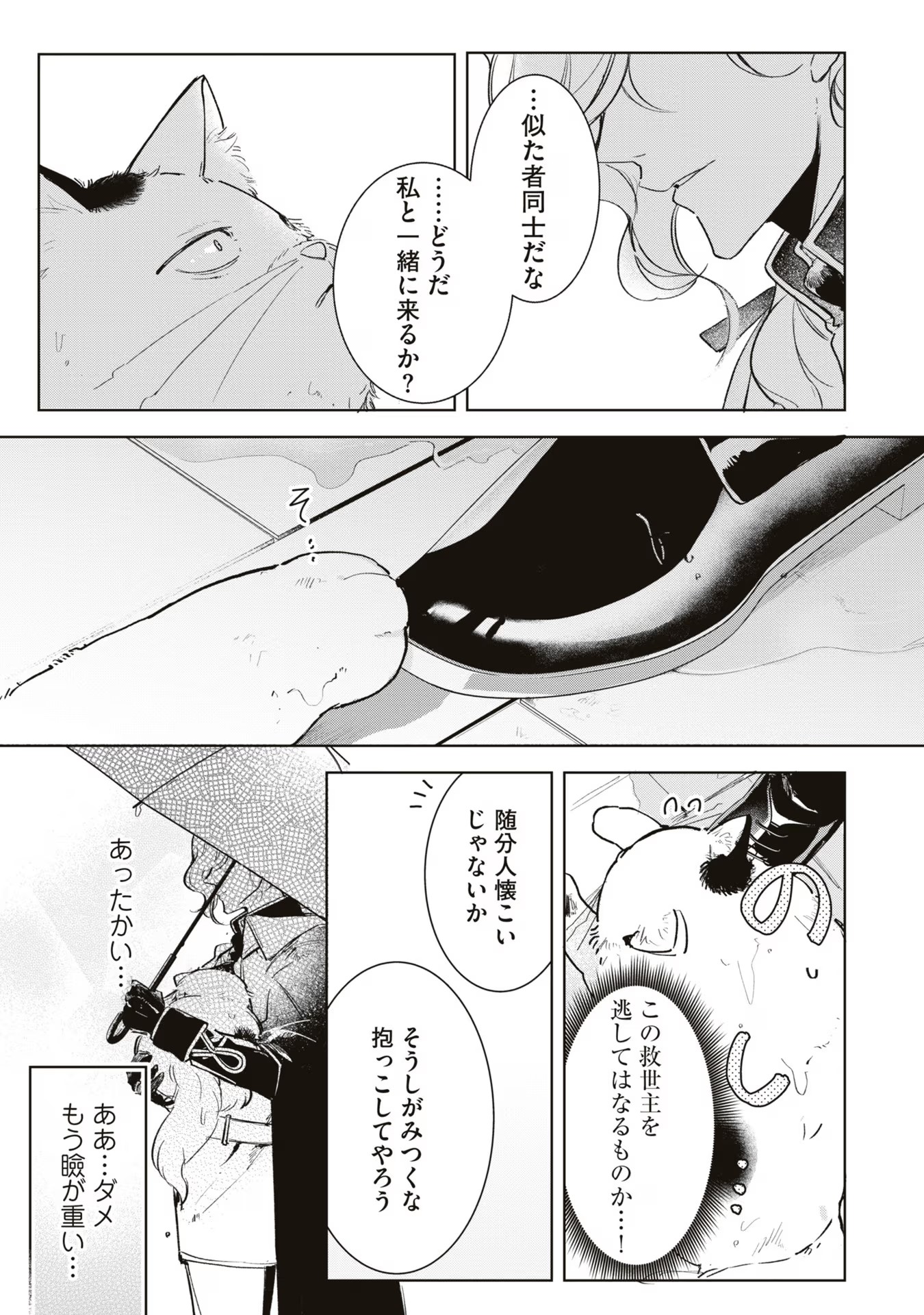 P23