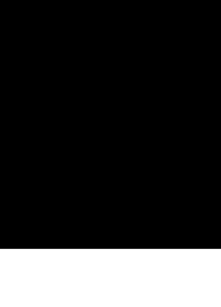 P53