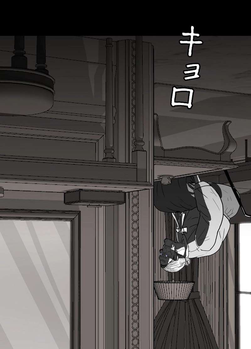 P81