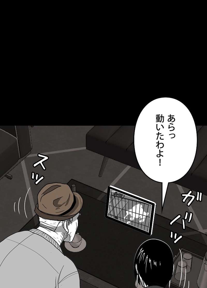 P42