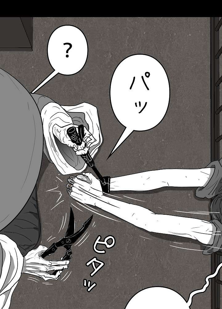 P54