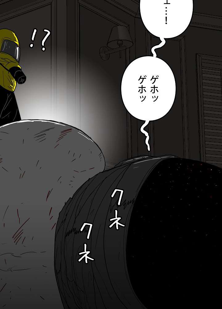 P66