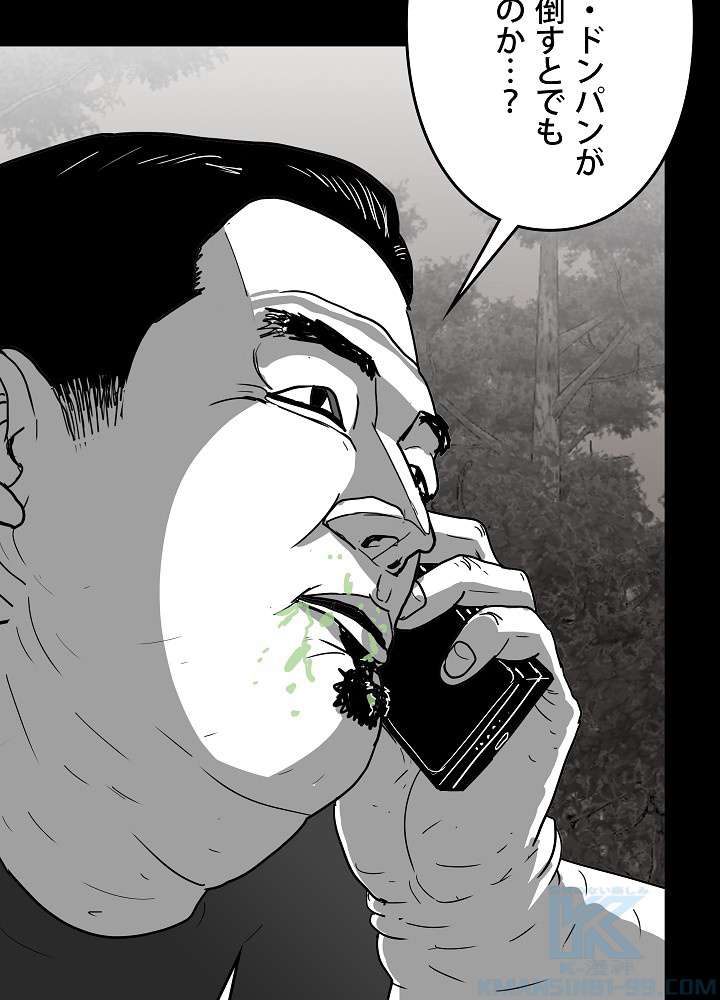 P61