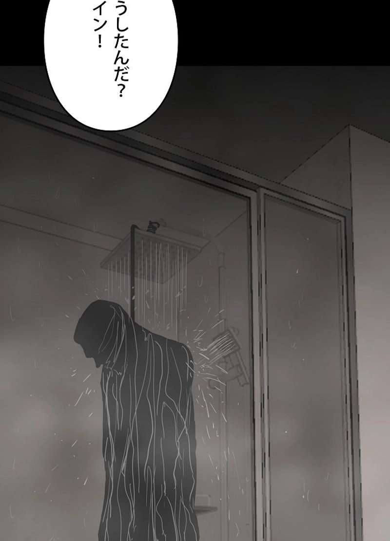 P113