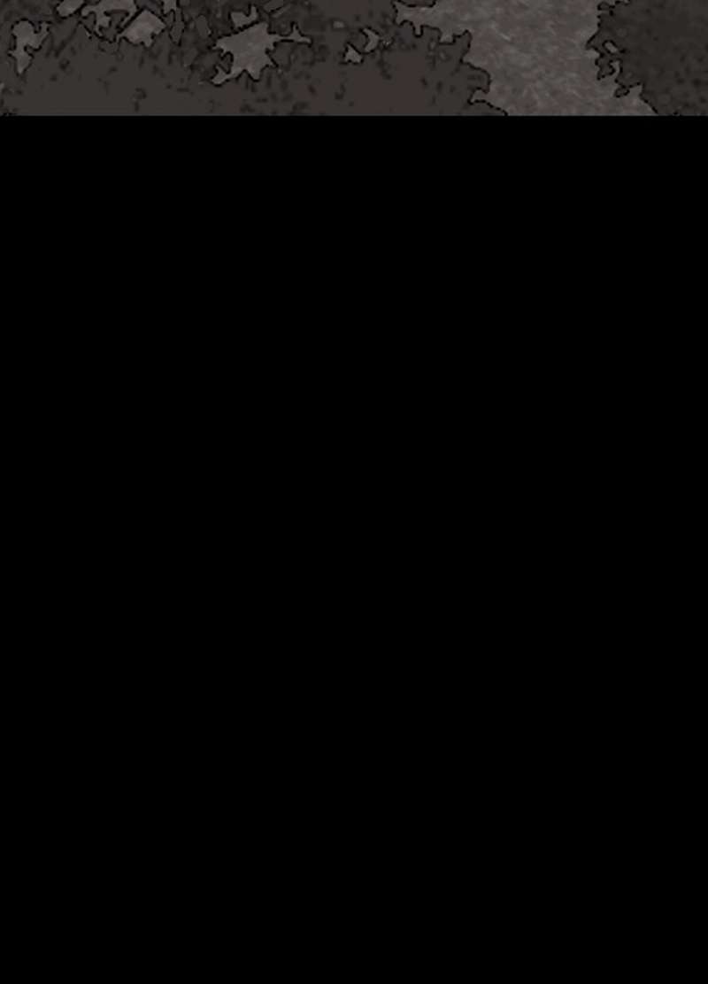P24