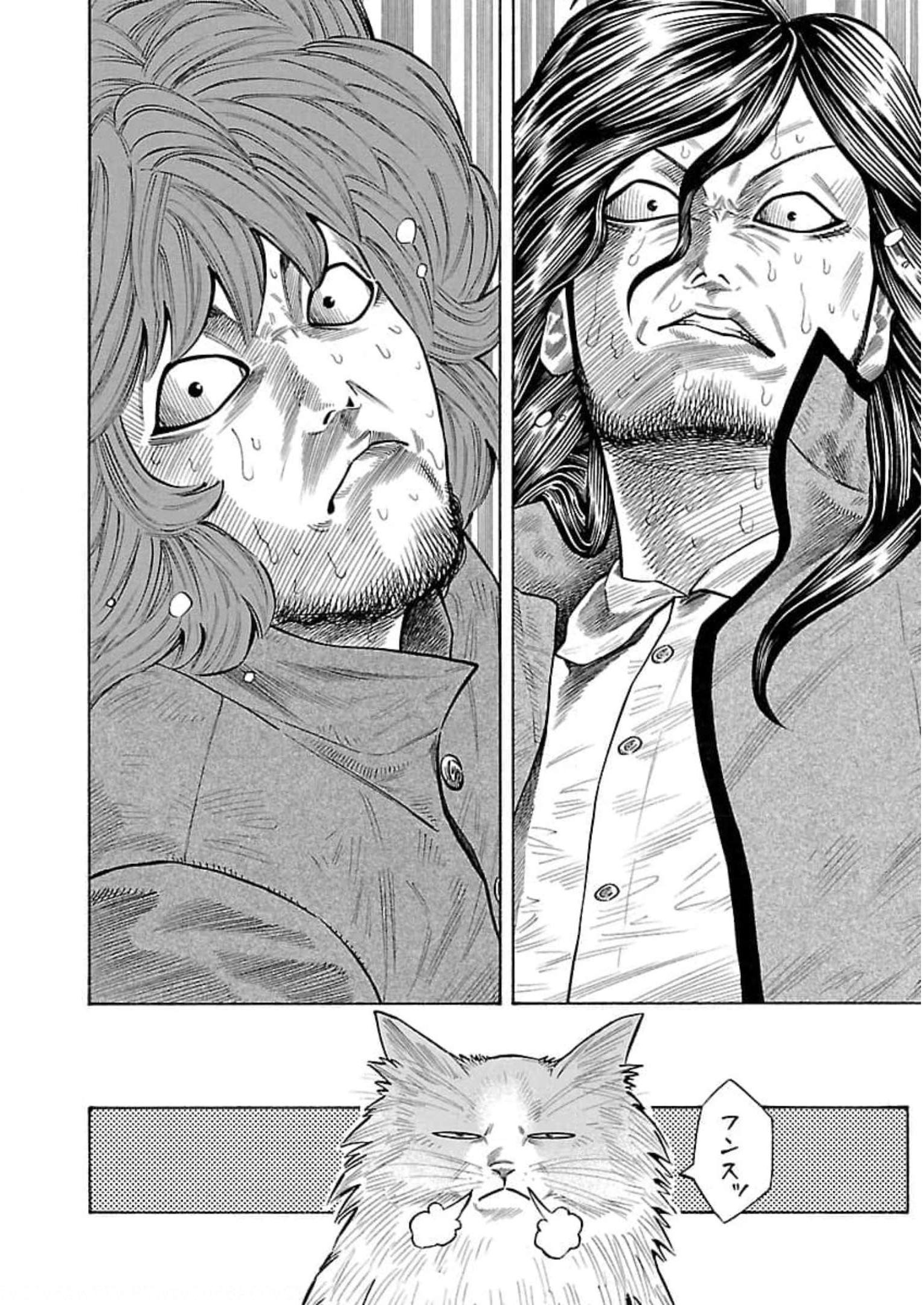 P44