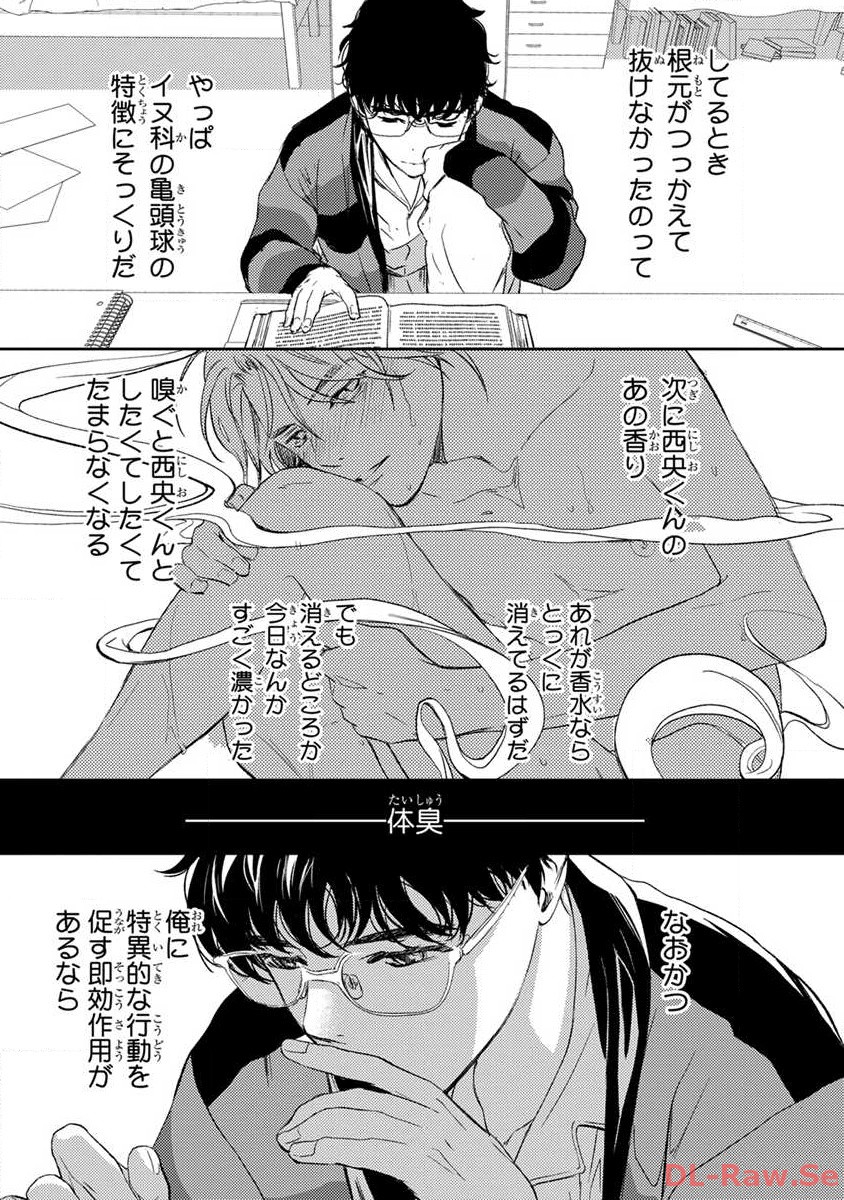 P33