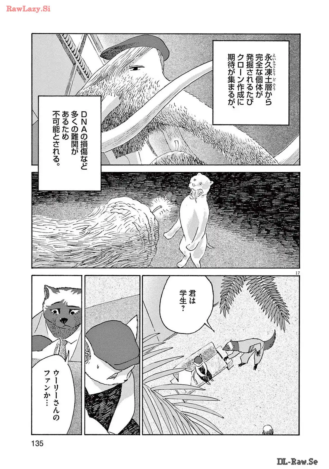 P17