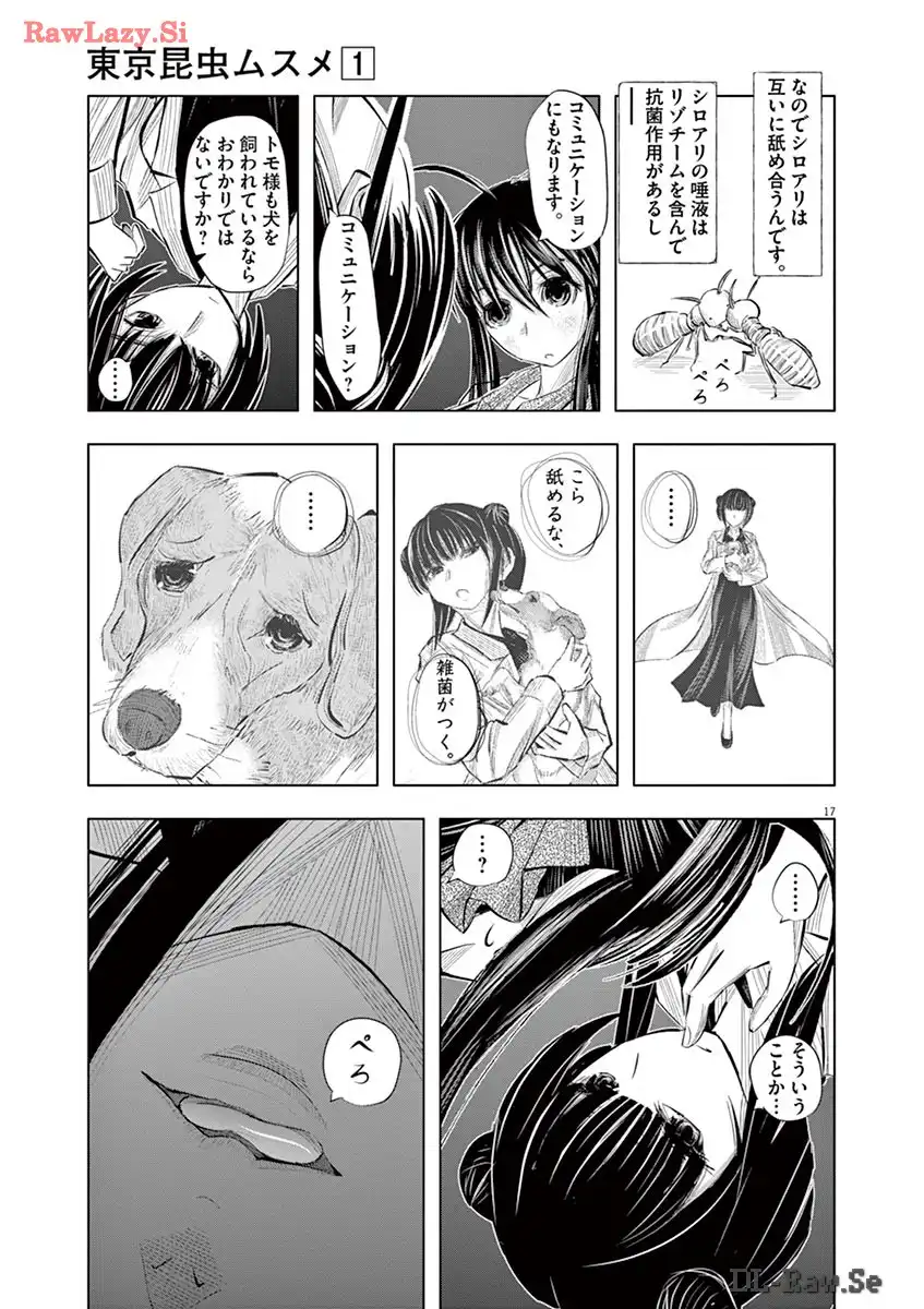 P17