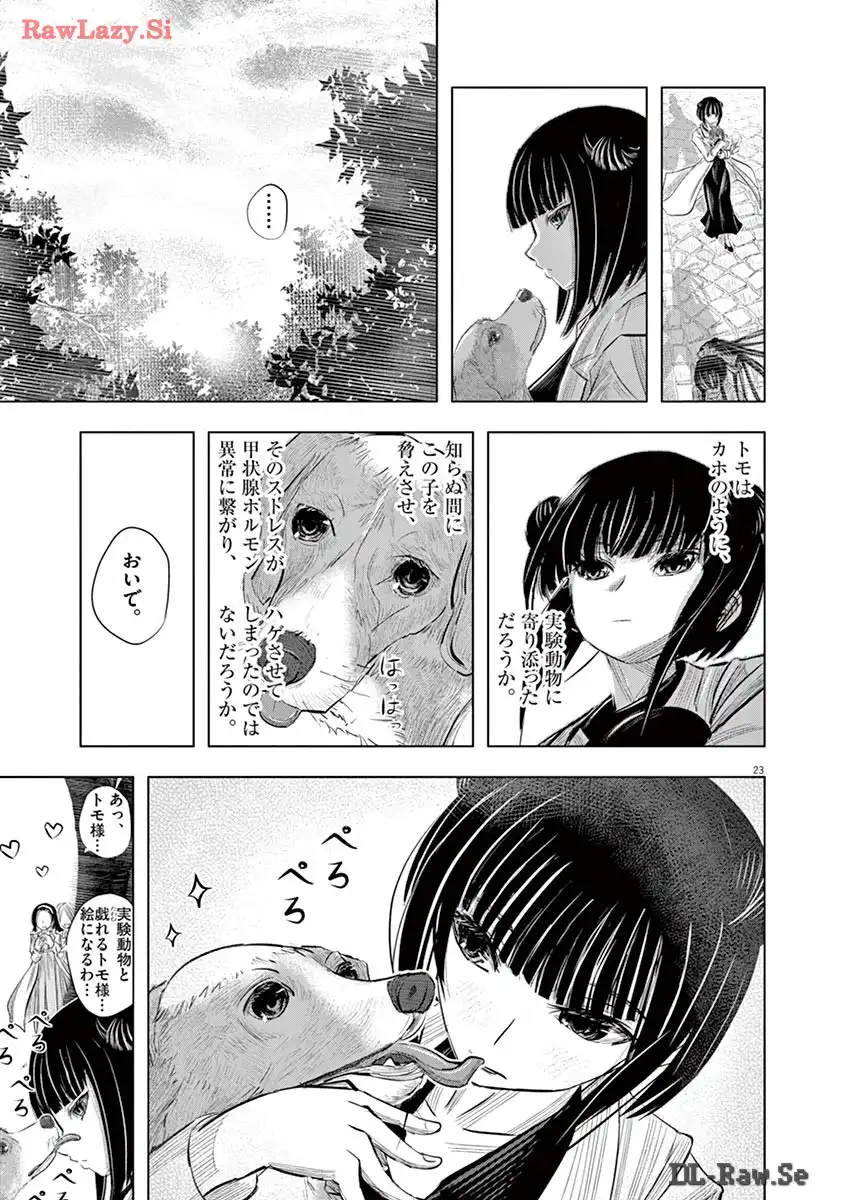 P23